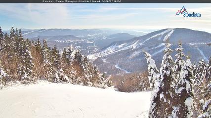 Stoneham: Sommet des 40 (ski-stoneham.com)