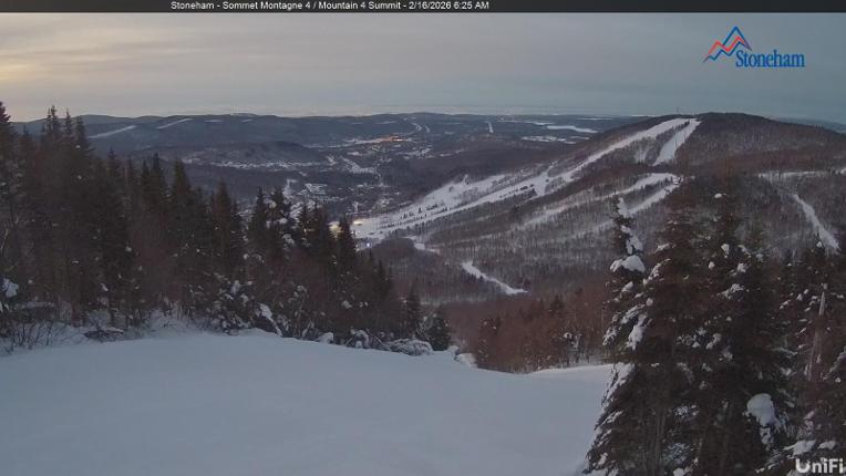 Webcam Stoneham: Sommet des 40