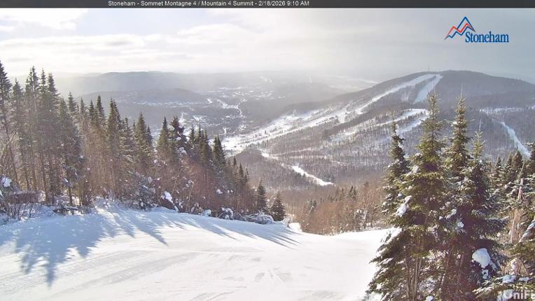 Webcam Stoneham: Sommet des 40