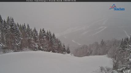 Stoneham: Sommet des 40 (ski-stoneham.com)