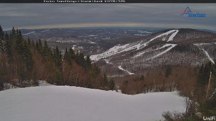 Stoneham webcam