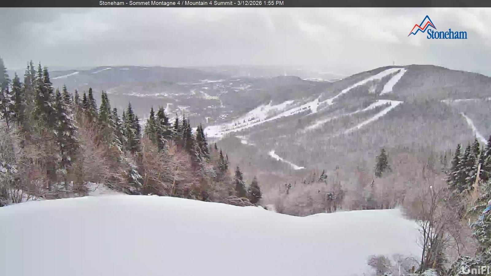 Webcam Stoneham: Sommet des 40