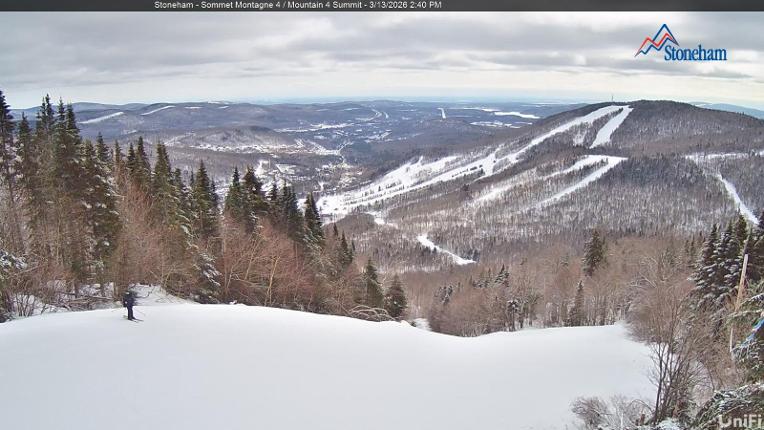 Webcam Stoneham: Sommet des 40