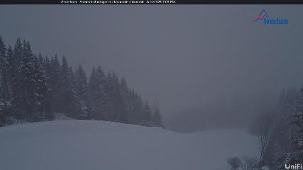 Stoneham: Sommet des 40 (ski-stoneham.com)