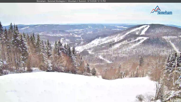 Webcam Stoneham: Sommet des 40