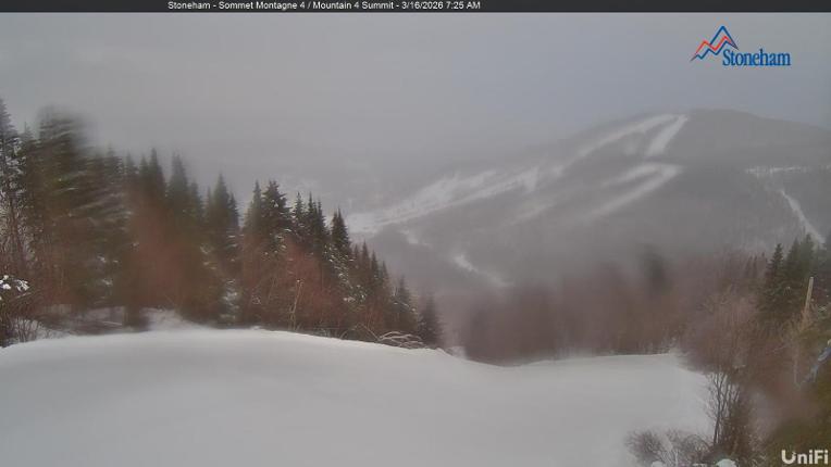 Webcam Stoneham: Sommet des 40