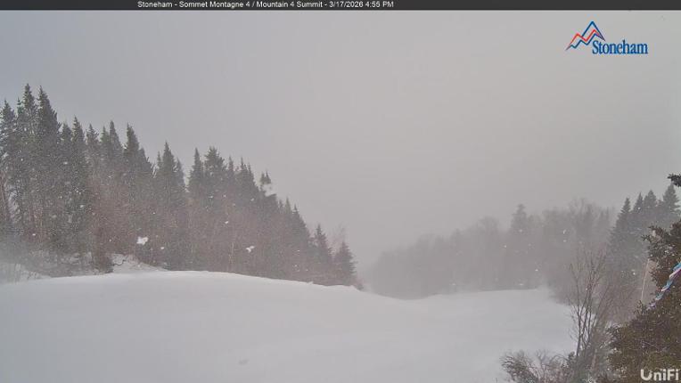 Webcam Stoneham: Sommet des 40