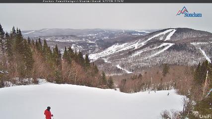 Stoneham webcam