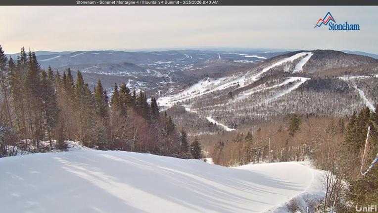 Webcam Stoneham: Sommet des 40