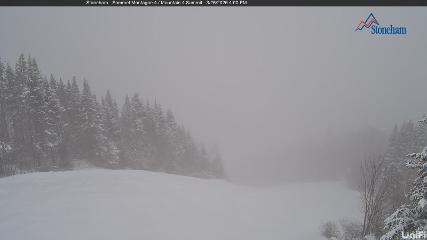 Stoneham: Sommet des 40 (ski-stoneham.com)