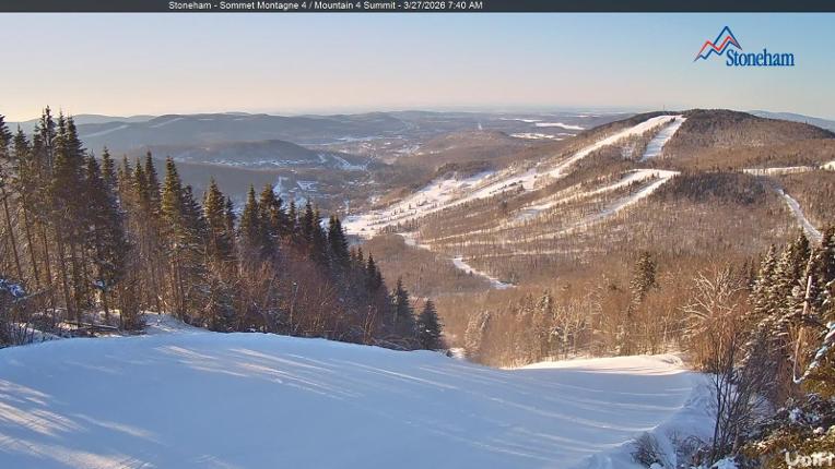 Webcam Stoneham: Sommet des 40