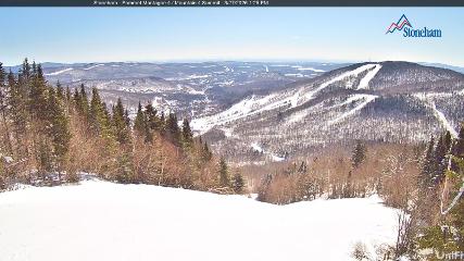 Stoneham webcam