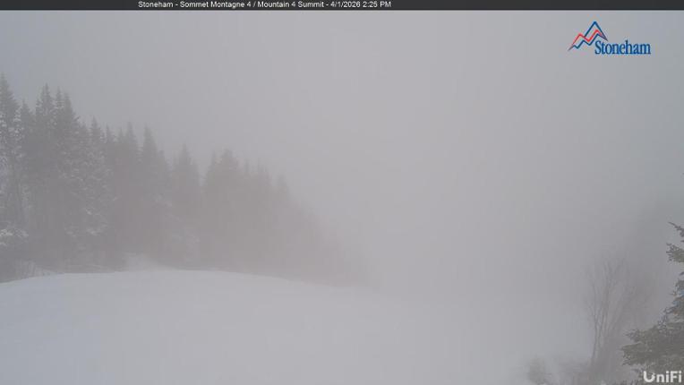 Webcam Stoneham: Sommet des 40