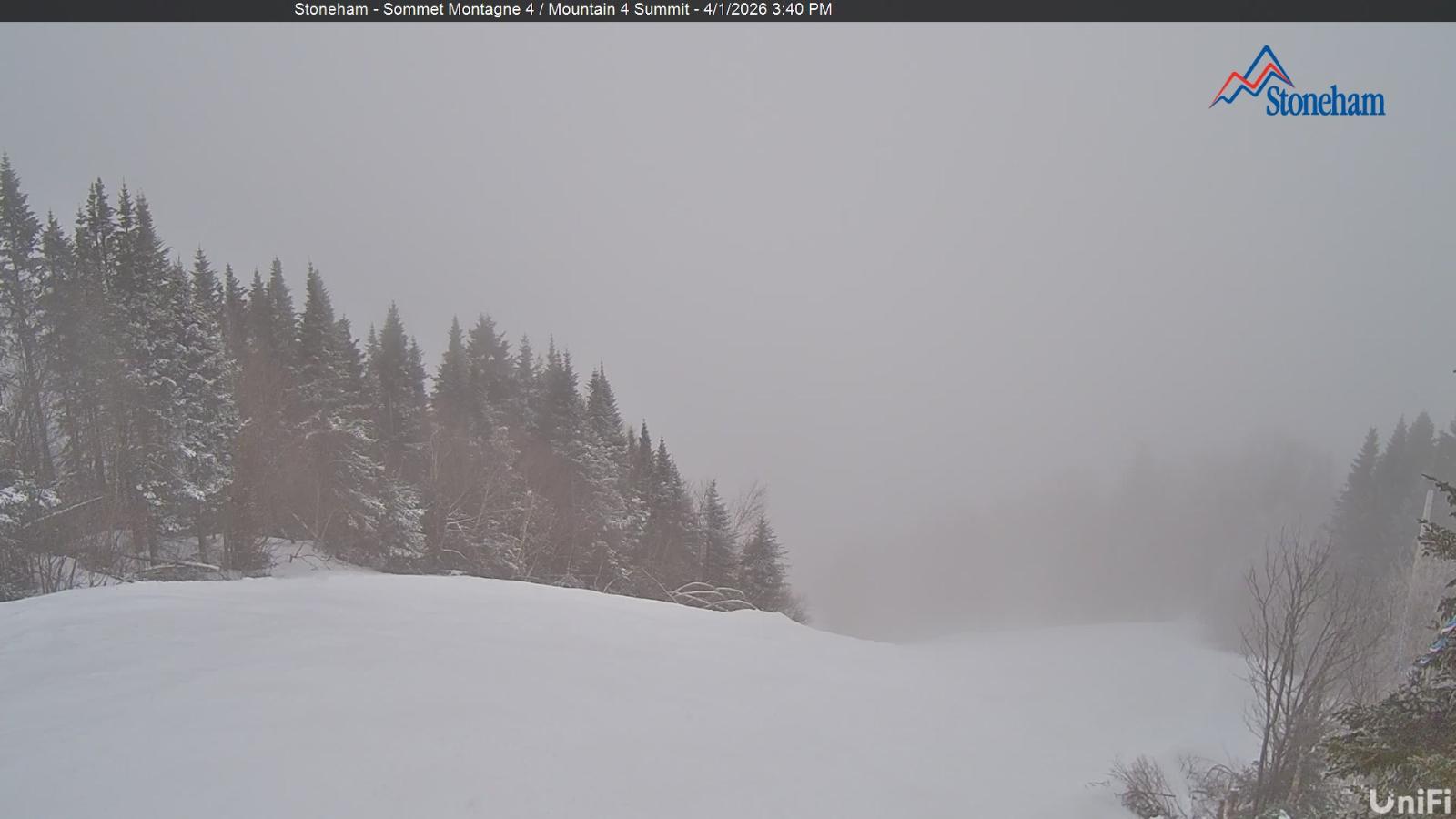 Webcam Stoneham: Sommet des 40