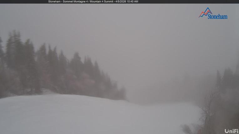 Webcam Stoneham: Sommet des 40