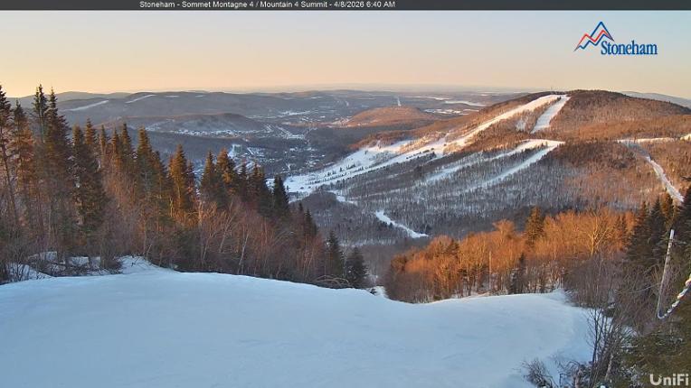 Webcam Stoneham: Sommet des 40