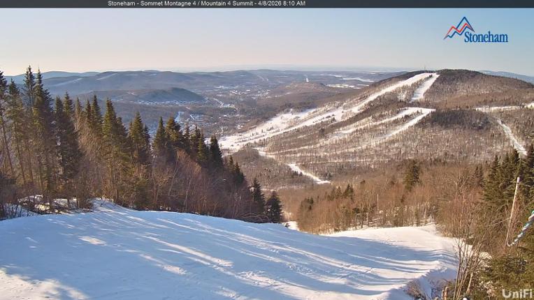 Webcam Stoneham: Sommet des 40