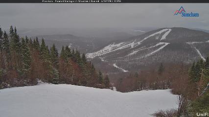 Stoneham webcam