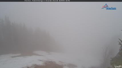 Stoneham: Sommet des 40 (ski-stoneham.com)