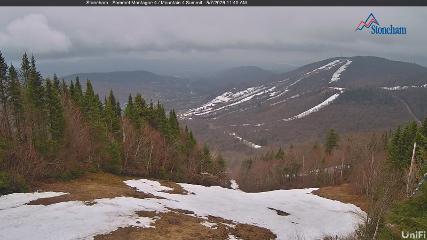 Stoneham webcam