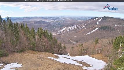 Stoneham webcam