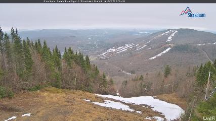 Stoneham webcam