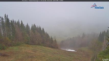 Stoneham: Sommet des 40 (ski-stoneham.com)