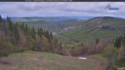 Stoneham webcam