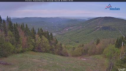 Stoneham webcam