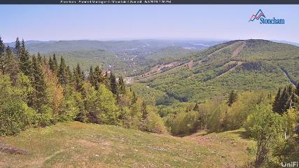 Stoneham webcam