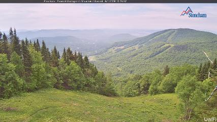 Stoneham webcam