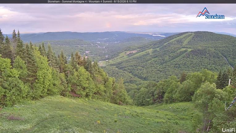 Webcam Stoneham: Sommet des 40