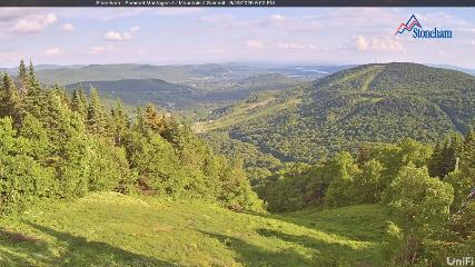 Stoneham webcam