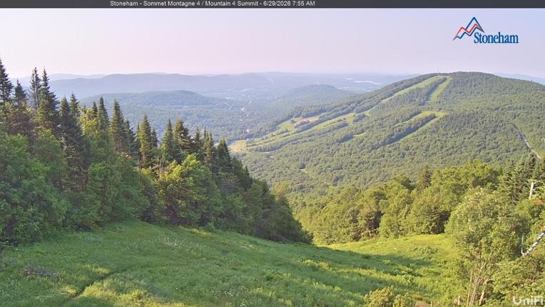 Webcam Stoneham: Sommet des 40