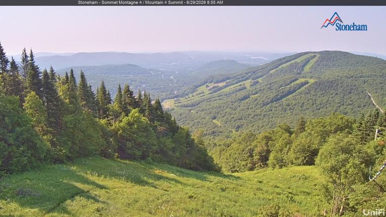 Webcam Stoneham: Sommet des 40