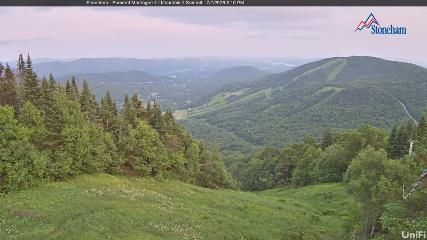 Stoneham webcam