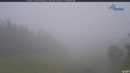 Stoneham webcam