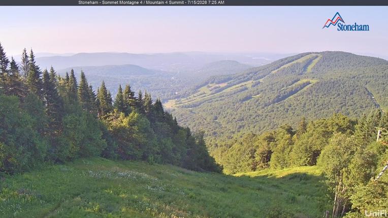 Webcam Stoneham: Sommet des 40