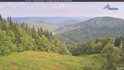 Stoneham webcam