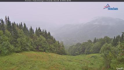 Stoneham webcam