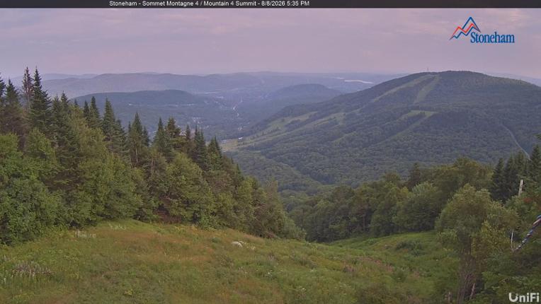 Webcam Stoneham: Sommet des 40