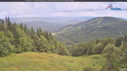 Stoneham webcam