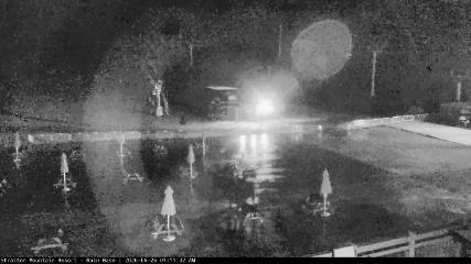 Stratton webcam