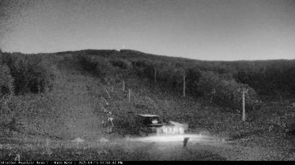 Stratton webcam