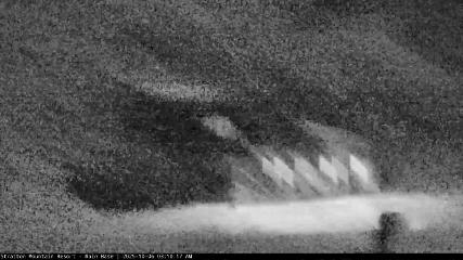 Stratton webcam