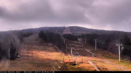 Stratton webcam