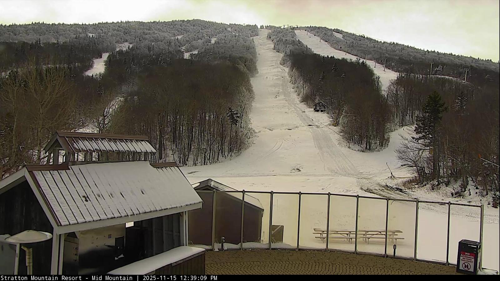 Webcam Stratton: Mid Mountain