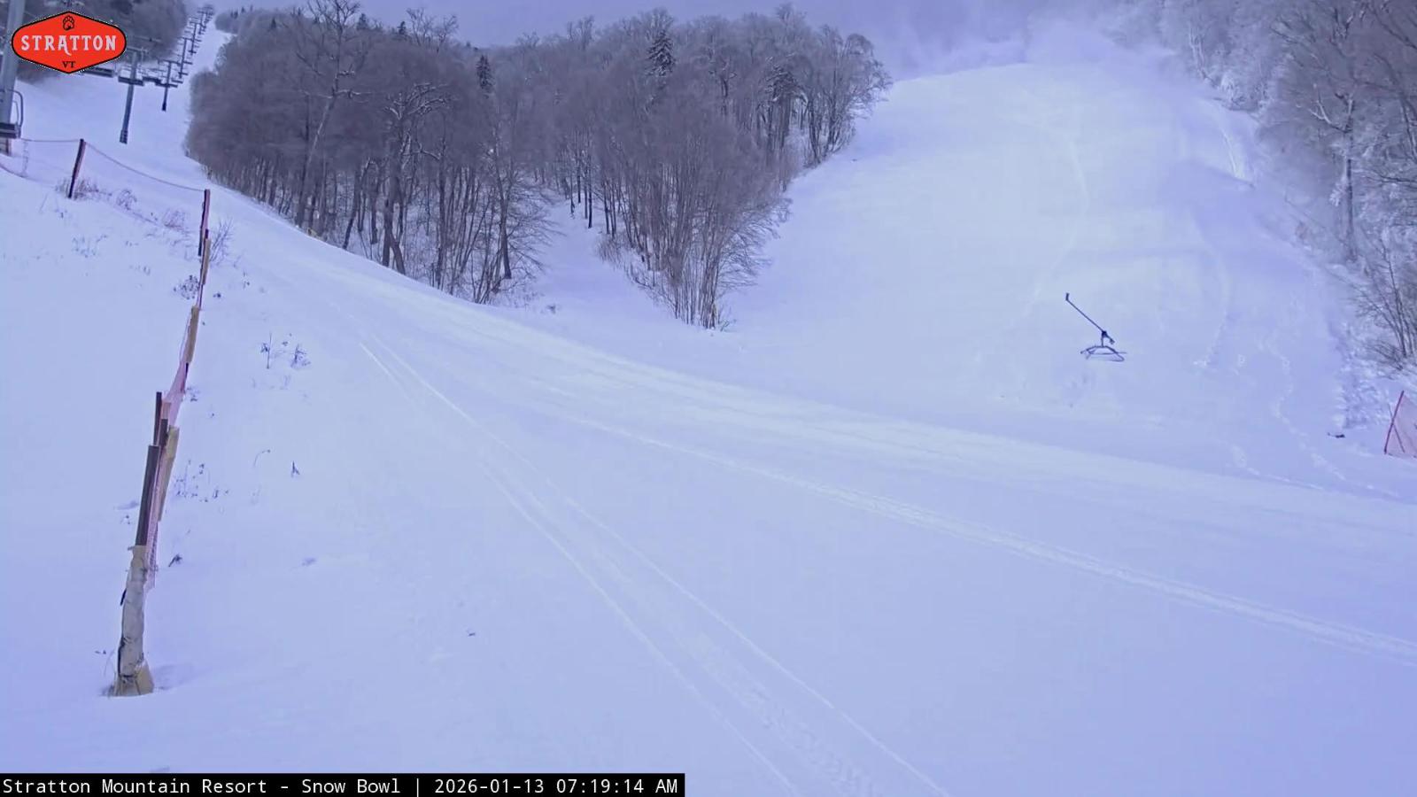 Webcam Stratton: Snow Bowl