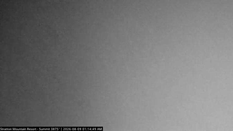 Webcam Stratton: Summit