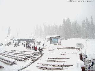 Sugar Bowl: Judah Lodge (sugarbowl.com)